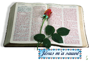 jesus m a sauv&eacute;